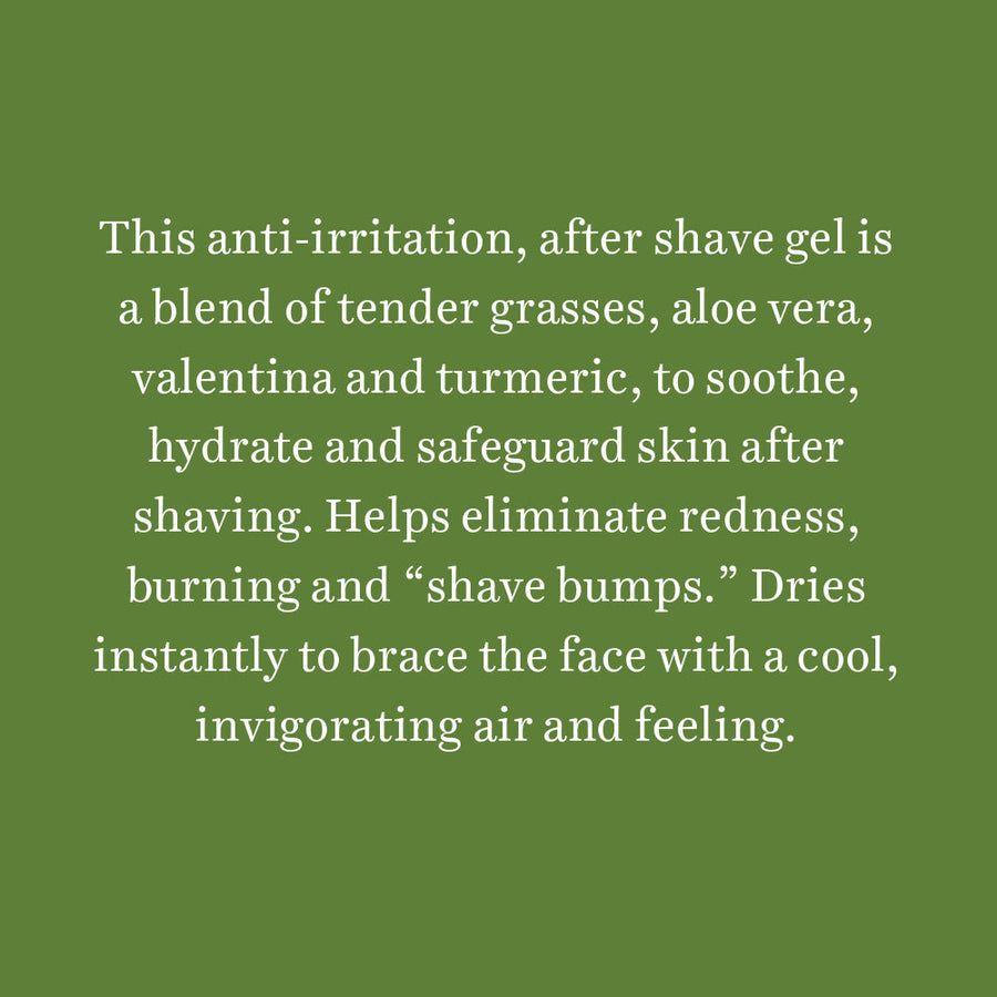 Wild Grass A Soothing After Shave Gel For Men, 120Ml (pack of 2)