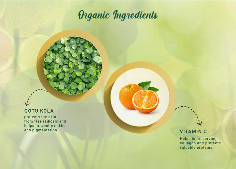 Clear Improvement Vitamin C & Gotu Kola Night Cream 50Gm ingredient