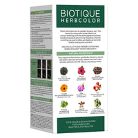 Biotique herbcolor 1n natural black 50 gm +110 ml